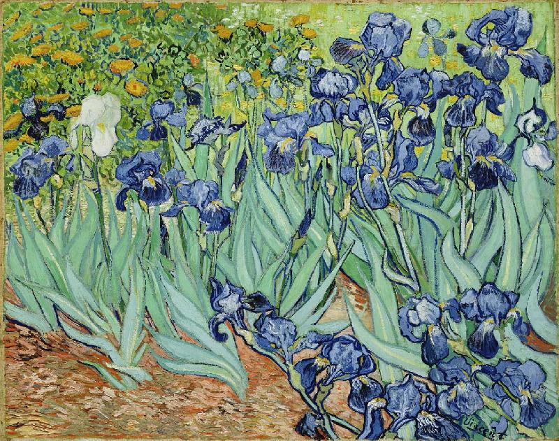 Vincent Van Gogh Irises oil painting picture